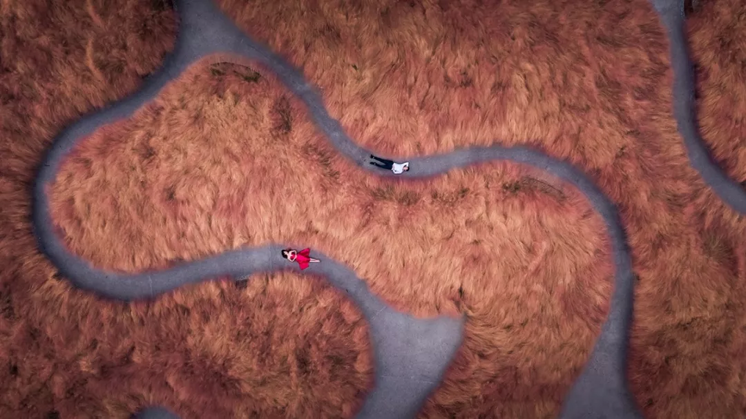 怡境景观设计作品:沣河湿地公园被玩坏了!