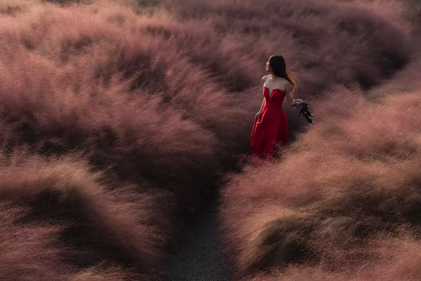 怡境景观设计作品:沣河湿地公园被玩坏了!