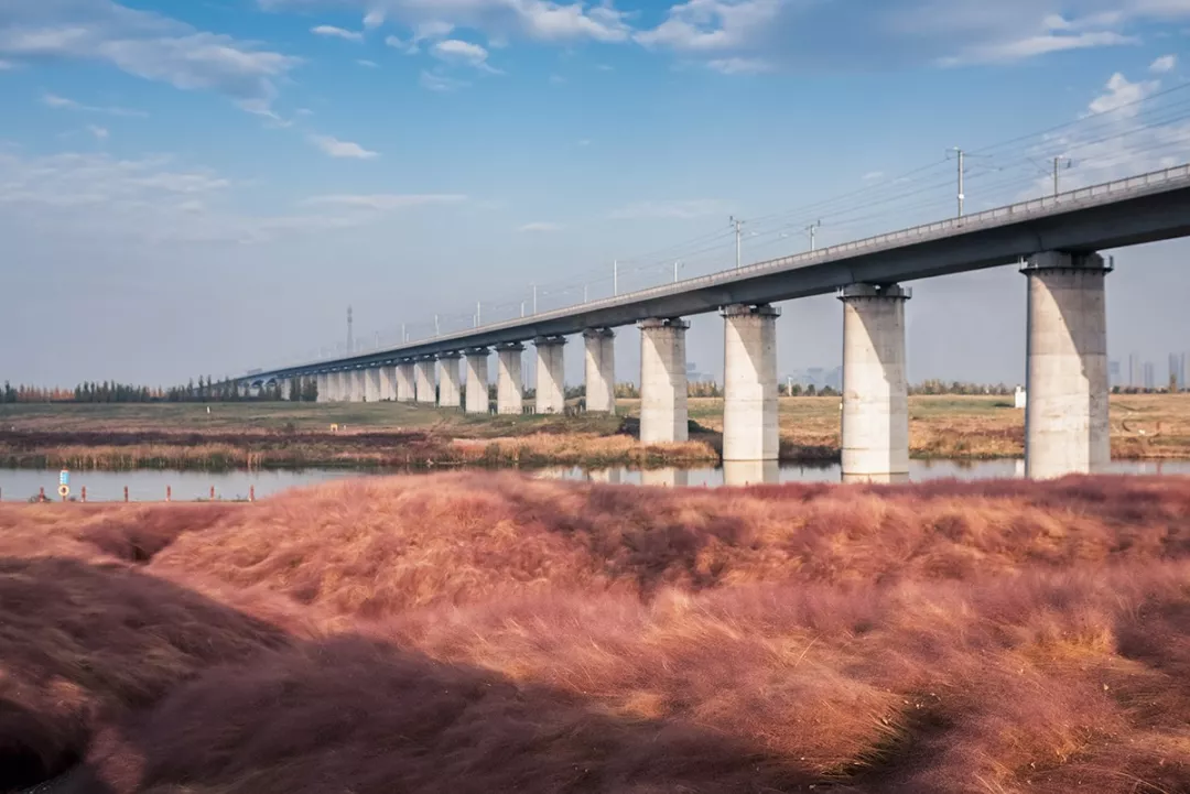 怡境景观设计作品:沣河湿地公园被玩坏了!