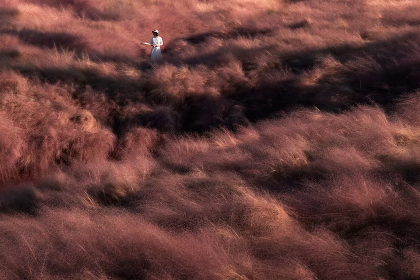 怡境景观设计作品:沣河湿地公园被玩坏了!