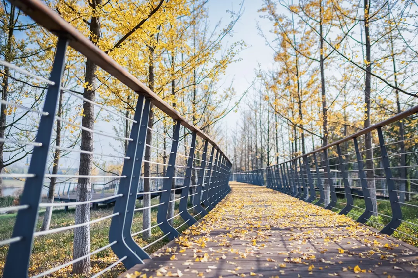 怡境景观设计作品:沣河湿地公园被玩坏了!