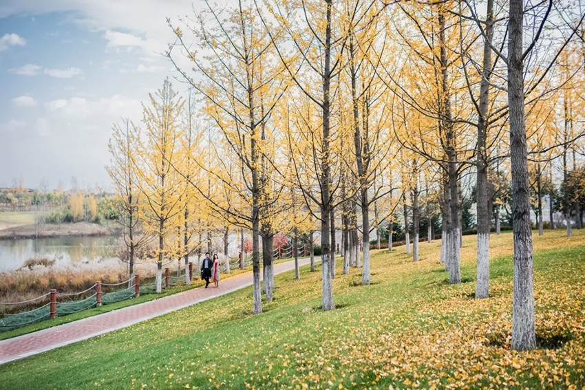 怡境景观设计作品:沣河湿地公园被玩坏了!