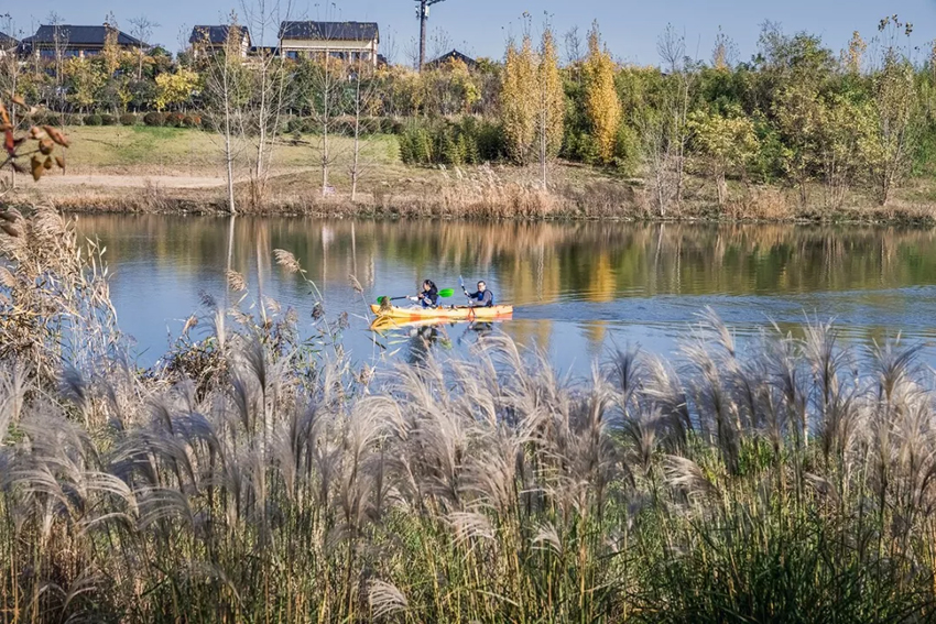 怡境景观设计作品:沣河湿地公园被玩坏了!