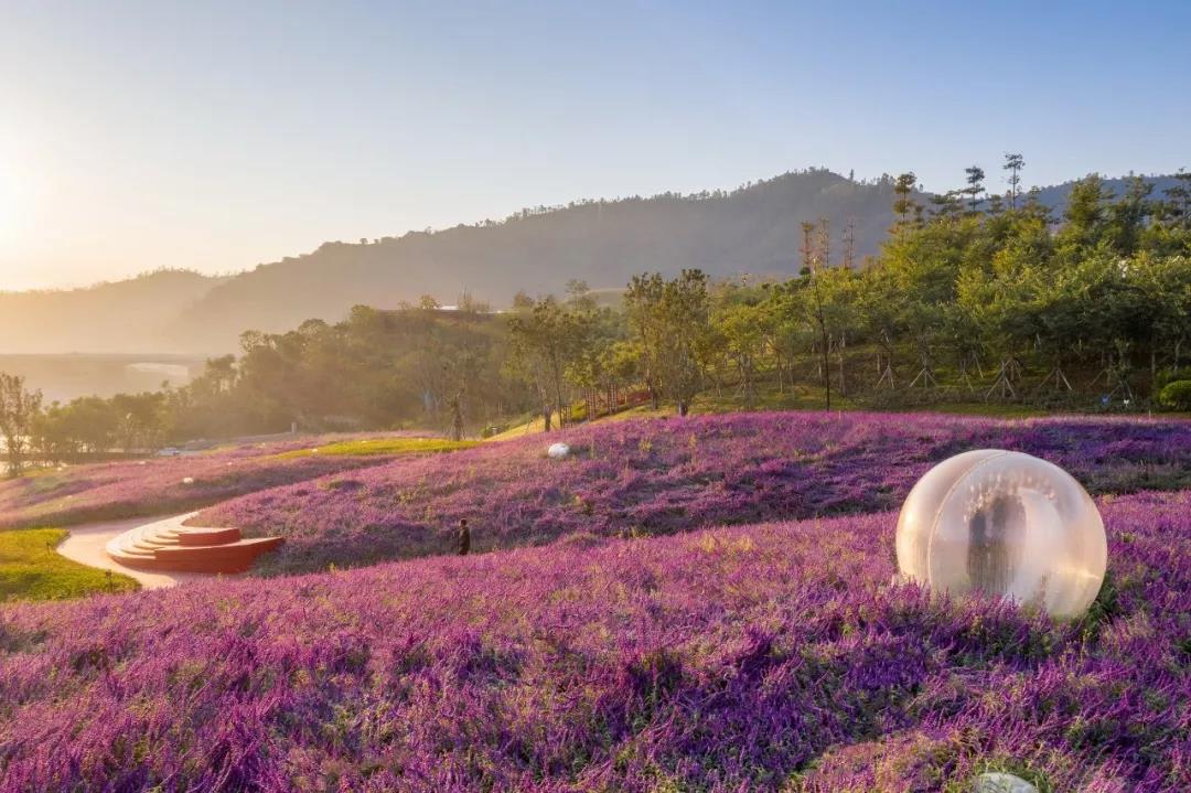 怡境普达阳光康养度假区的“生态、社会和美学价值”