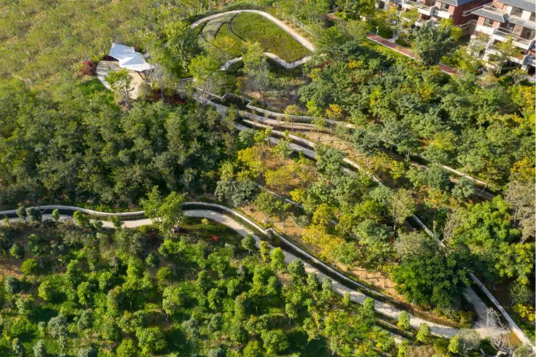 怡境普达阳光康养度假区的“生态、社会和美学价值”