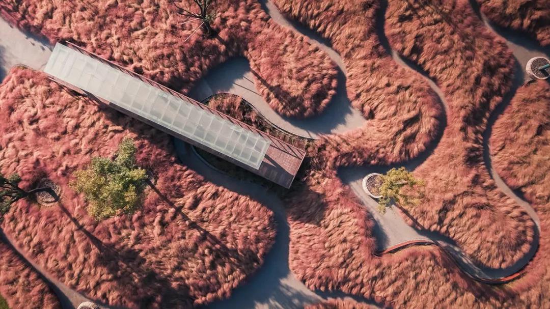 怡境:避免过度设计 需平衡生态和美学