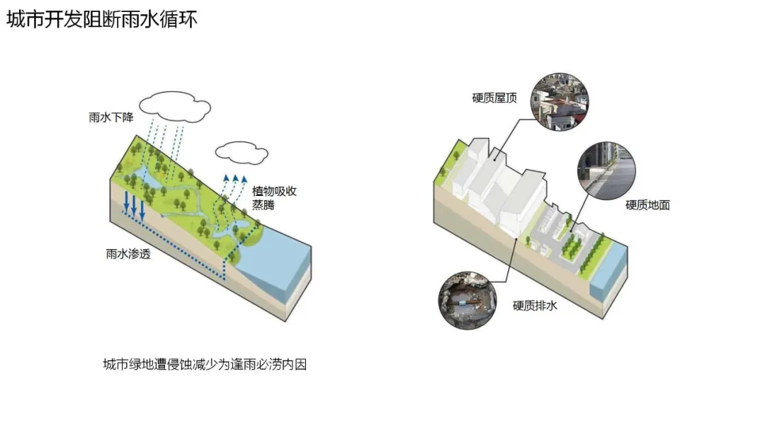 怡境:用景观设计打造海绵城市艺术美